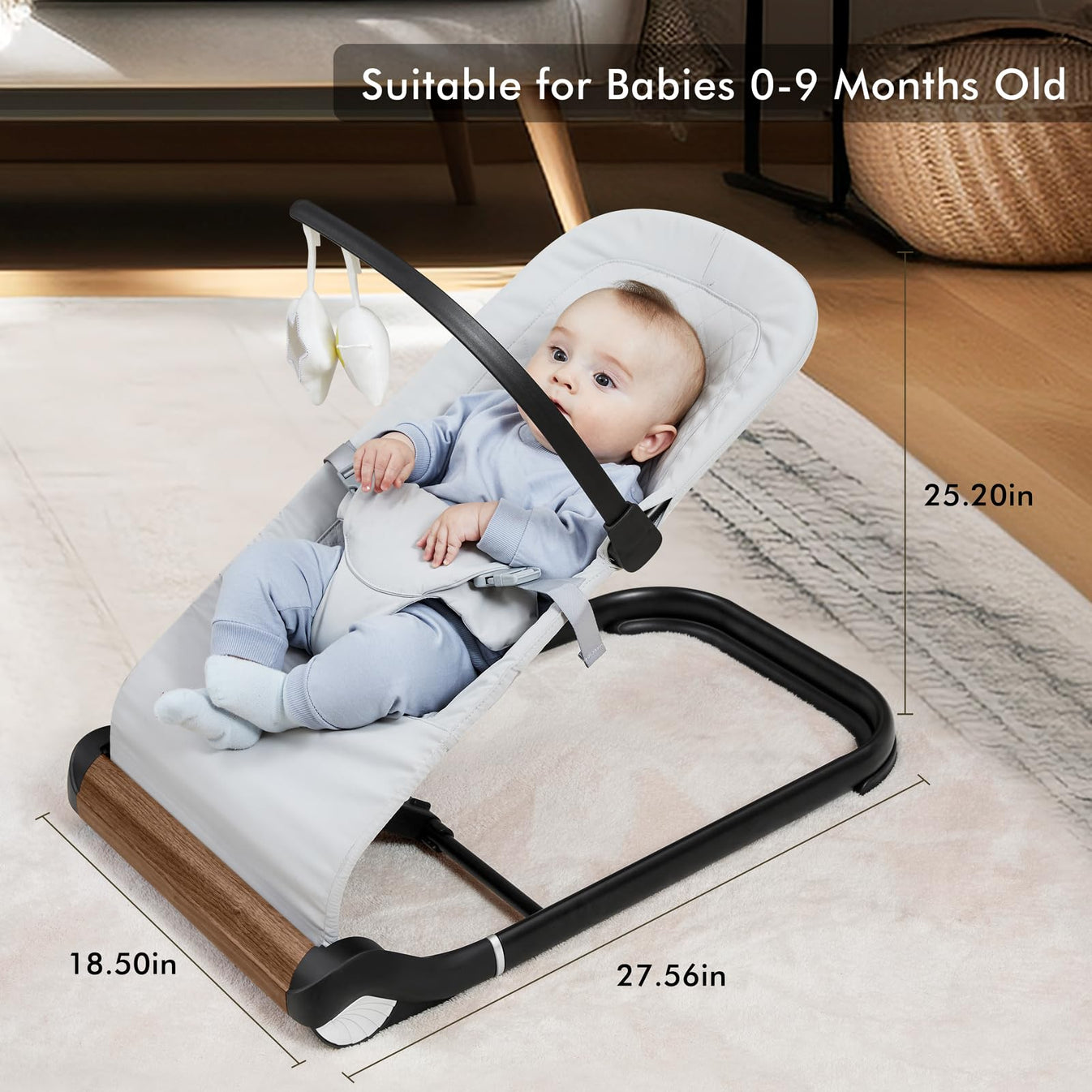 Baby Bouncer Specifications